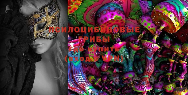 Галлюциногенные грибы Cubensis  Урай 